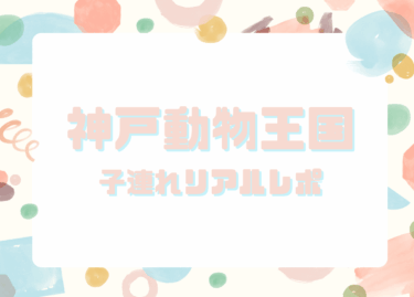 未就学児と行く神戸動物王国│子連れリアルレポ