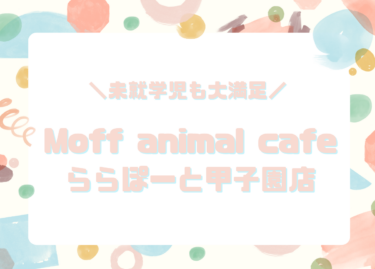 未就学児と大満足！moff animal cafe（モフアニマルカフェ）ららぽーと甲子園│クーポンはある？